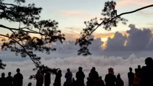 ภูกระดึง