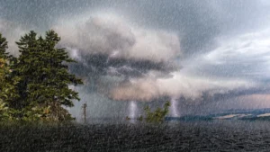 กรมลดโลกร้อน