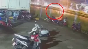 น้องโตโต้