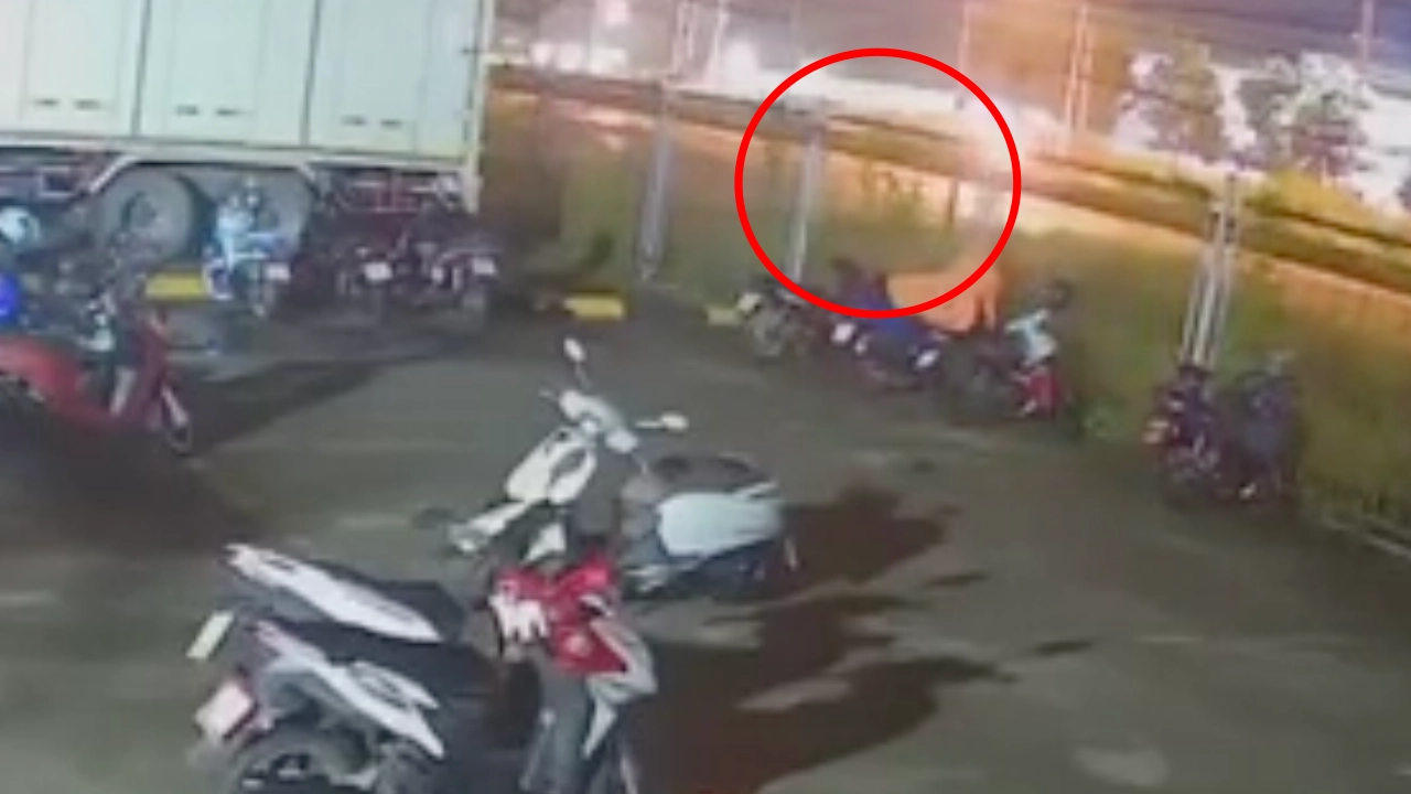 น้องโตโต้ เด็ก 2 ขวบ หายออกจากบ้าน ก่อนพบเป็นศพอยู่ริมถนน