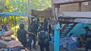 ลูกเขยยิงแม่ยายดับ 