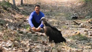 นกแร้งหิมาลัย