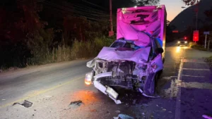 ช้างป่าเขาใหญ่