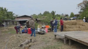 น้องฉุยฉาย