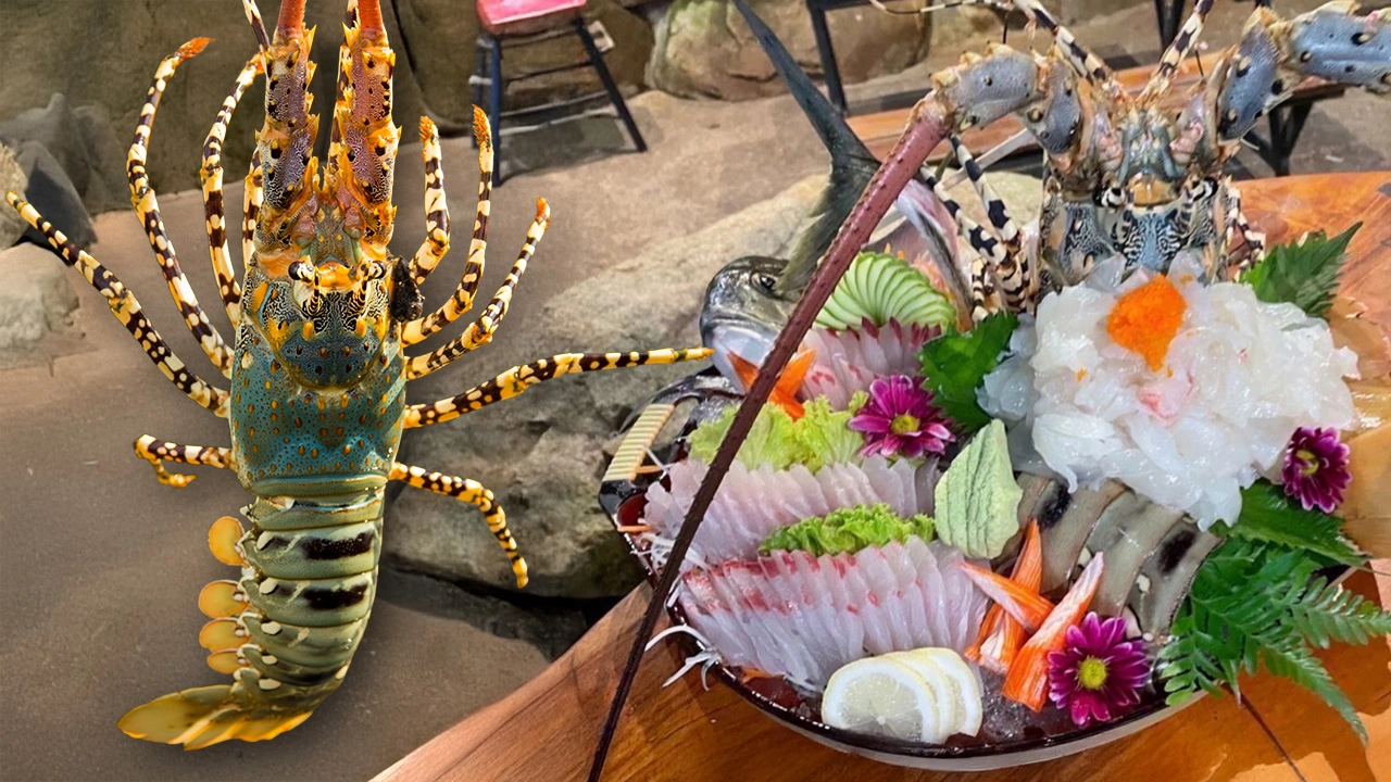 กุ้งมังกร 7 สีภูเก็ต GI น้องใหม่ สมฉายา ฟัวกราส์แห่งท้องทะเล