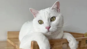 คุณพลอย