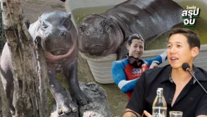 ทราย สก๊อต